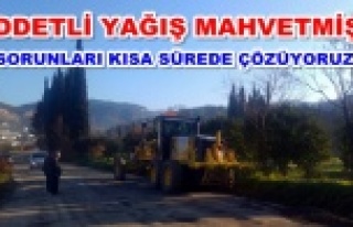 Alanya'nın yollarına bakım