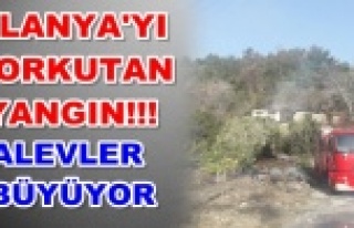 Alanya seferber oldu! Dimçayı'nda yangın!