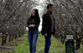 Antalyalı çiftçiden Afrin'deki askerlerin...