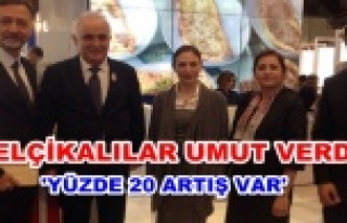 Belçika’daki düşüş sona erdi