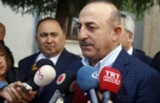 Çavuşoğlu: "Hollanda'nın kararının...