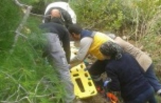 İş makinası uçuruma yuvarlandı: 3 yaralı