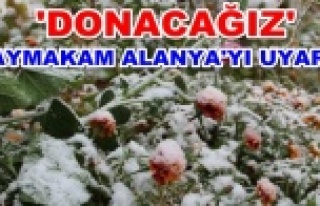 Meteorolojiden 'Zirai Don' uyarısı