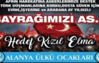 Ülkü Ocaklarından 'Türk Bayrağı' kampanyası