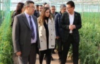 Yerli tohum ve akıllı arılarla üretim