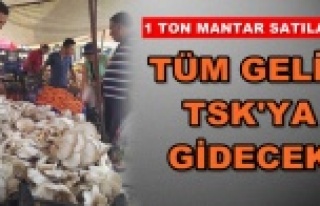 Afrin'e destek için mantar satılacak