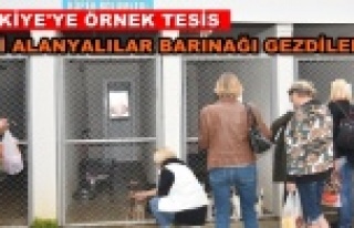 Alanya Belediyesi Hayvan Barınağına tam not