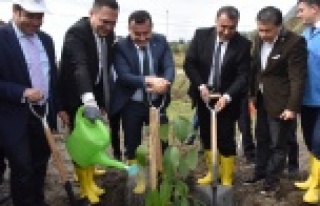 Alanya Cezaevi Avokado üretecek