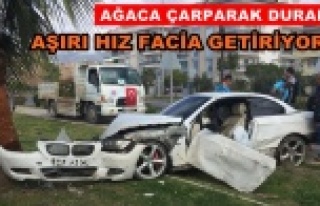 Alanya'da kaza! Ağaca çarparak durabildi