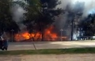 Antalya Atatürk Parkı'nda korkutan yangın