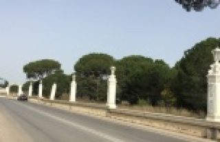 Dünyaca ünlü otele dadanan hırsızlar yine iş...