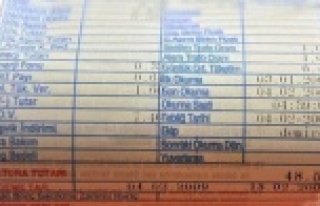 Elektrik faturasına sadık müşteriler ödüllendirecek