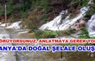 Görenleri şaşkına çevirdi! 1 gün önce yoktu