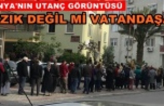 Her sabah aynı kuyruk