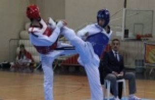 Taekwondo heyecanı sona erdi