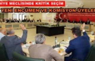 Alanya Belediyesi'nin komisyon üyeleri belirlendi