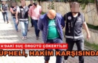 Alanya'daki suç örgütüne 7 tutuklama