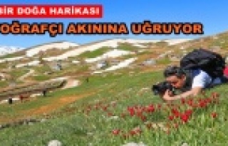 Alanyalıların Yaylasına yoğun ilgi