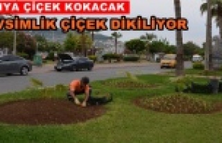 Alanya’ya 300 bin çiçek