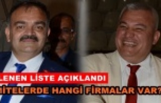 İşte ALTSO'ya meclis üyesi gönderen 68 şirket