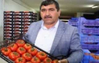 Antalya’da seracıların sıcak hava endişesi