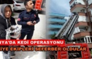 Panjurda kedi mahsur kalınca...