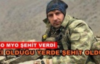 Şehidimiz Alanya'da okumuş