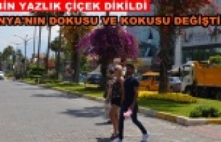 Alanya Büyükşehirle çok güzel