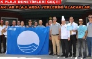 Alanya'da mavi bayraklar dağıtıldı