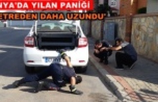 Aracın motor kısmına giren yılan panik yarattı!