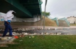 Arı kovanı yüklü tır köprüye çarptı, arılar...