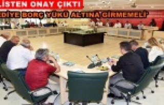 Başkan Yücel 25 milyon kredi çekecek