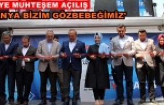 Çavuşoğlu Alanya'da Ak Parti'ye start...