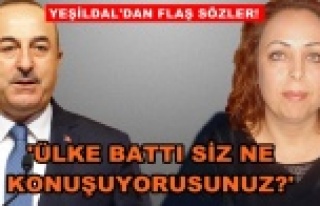 CHP'li Yeşildal, Çavuşoğlu'na sert çıktı