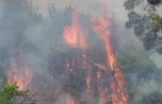 Dünyaca ünlü şelalenin yanında yangın