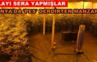 Lüks villaya giren jandarma gözlerine inanamadı