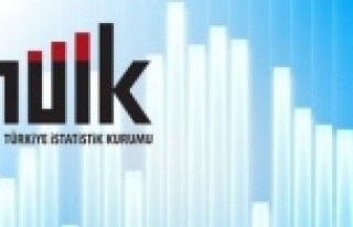 Ortalama tek kişilik hane büyüklüğü 3,1 kişi