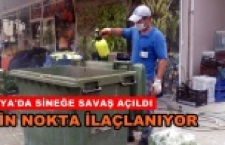 Sinekle mücadelede yaz mesaisi