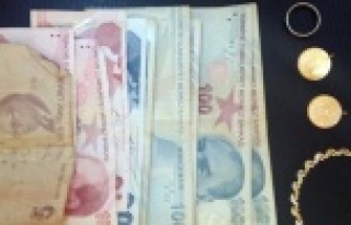 Televizyon ve ziynet hırsızları tutuklandı