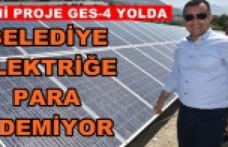 Yücel'in projesi ne kadar gelir elde etti?