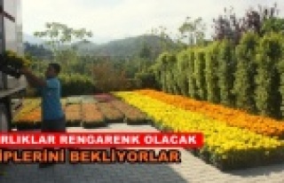 Alanya Belediyesi çiçek dağıtacak