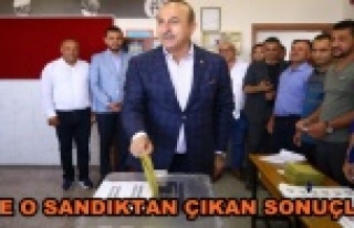 Bakan Çavuşoğlu'nun sandığı açıklandı