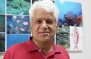 Caretta caretta yavruları için şezlong ve şemsiye...