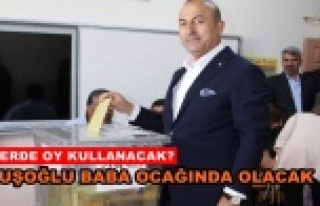 Çavuşoğlu oyunu Alanya'da kullanacak
