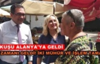 CHP Cuma Pazarı'nda çalıştı