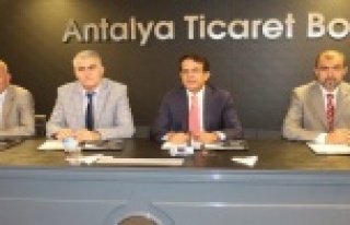 Seralarda domatesi vuran tuta hastalığı yaylaya...