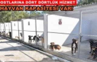 Türkiye'nin örnek tesisi hizmete devam ediyor