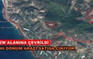 Alanya'da dikkat çeken arazi satışı!