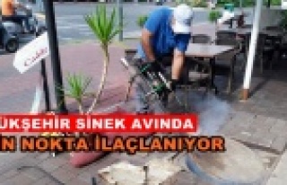 Alanya’da sinekle mücadele hız kesmiyor