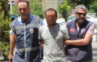 Alman kadın cinayetinde yeni detaylar